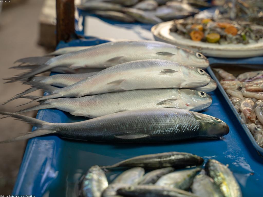 វិធីសាស្ត្រចាប់ត្រីកម្រិតខ្ពស់សម្រាប់អ្នកចាប់ត្រីសកម្ម