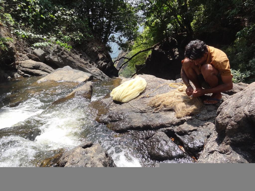 ចំណេះដឹងក្នុងការប្រកួតចាប់ត្រី